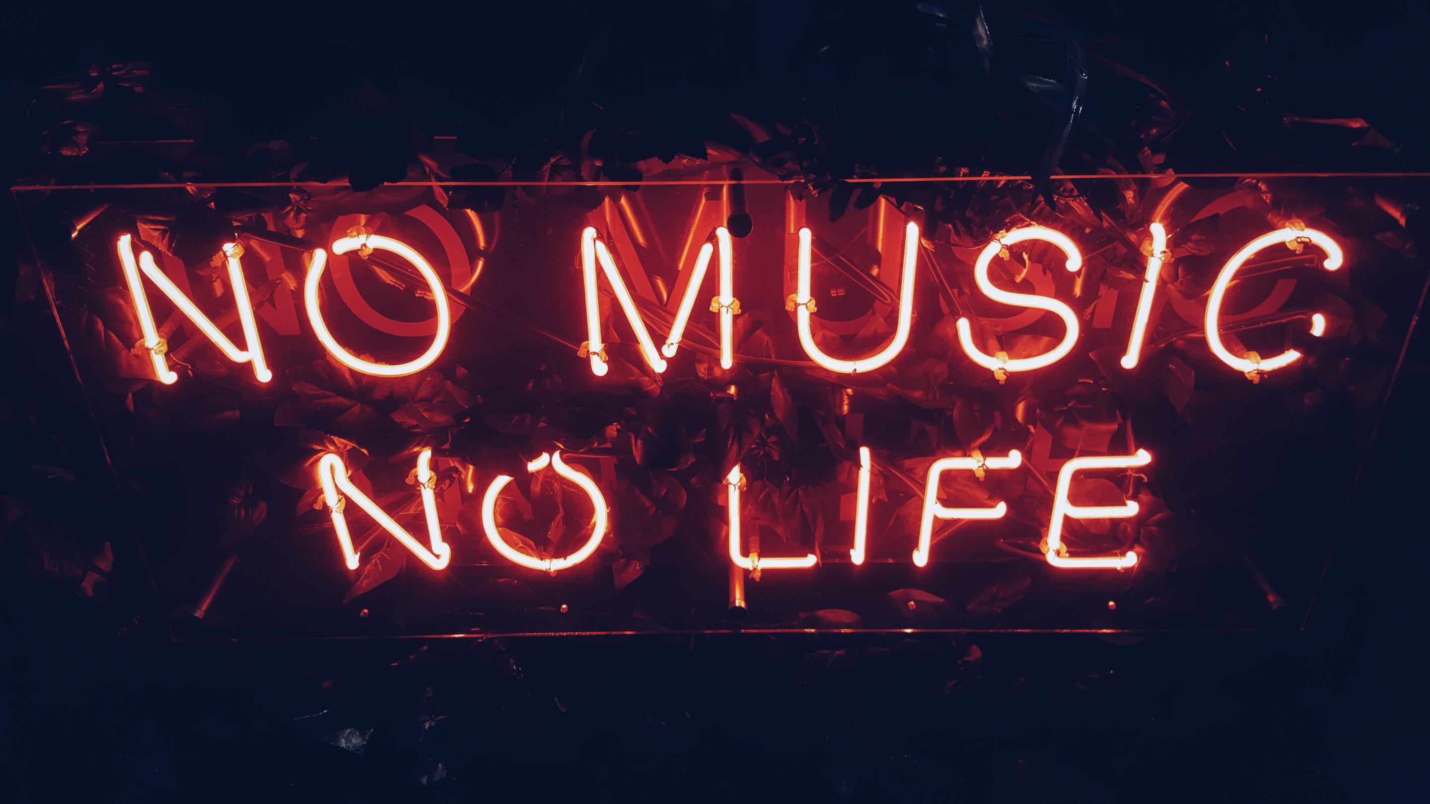 no music no life simon-noh Ben jij een entre-, intra-, of innerpreneur?
