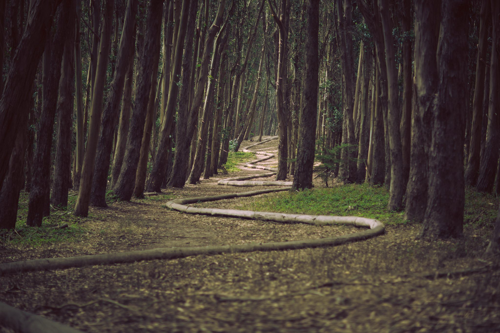 Photo by James Forbes @ Unsplash.com Antwoorden vinden op levensvragen