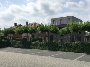 Veelgestelde vragen over loopbaanbegeleiding