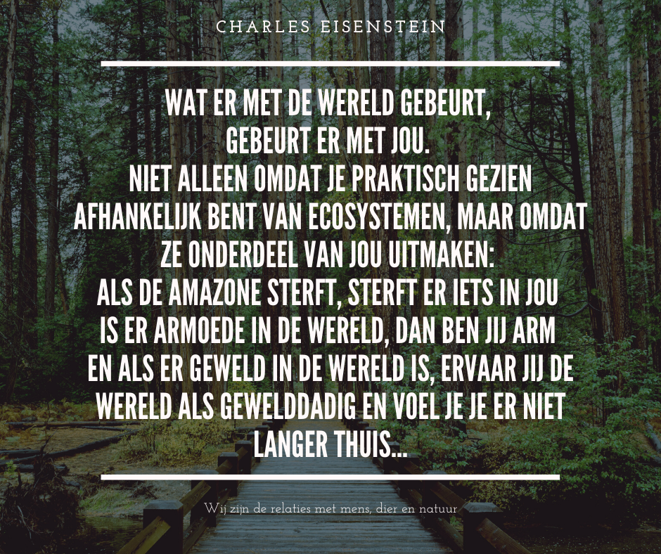 relatie natuur https://www.kantel.be/2020/01/kantelen-die-handel