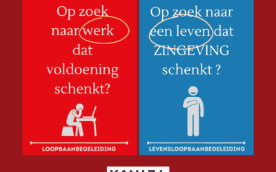 Wat is levensloopbaan-begeleiding?