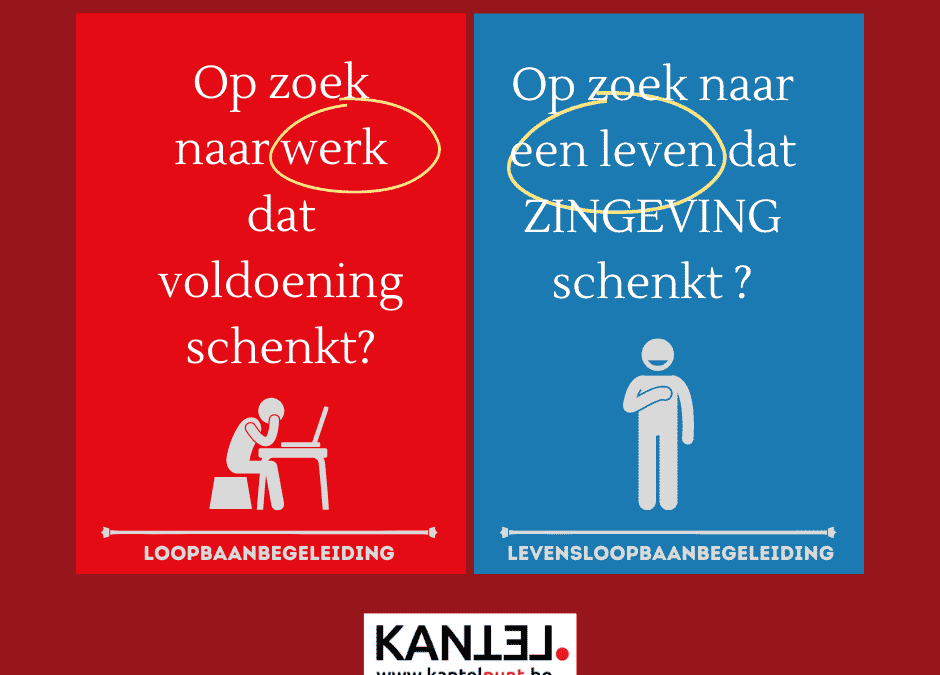 Wat is levensloopbaan-begeleiding?