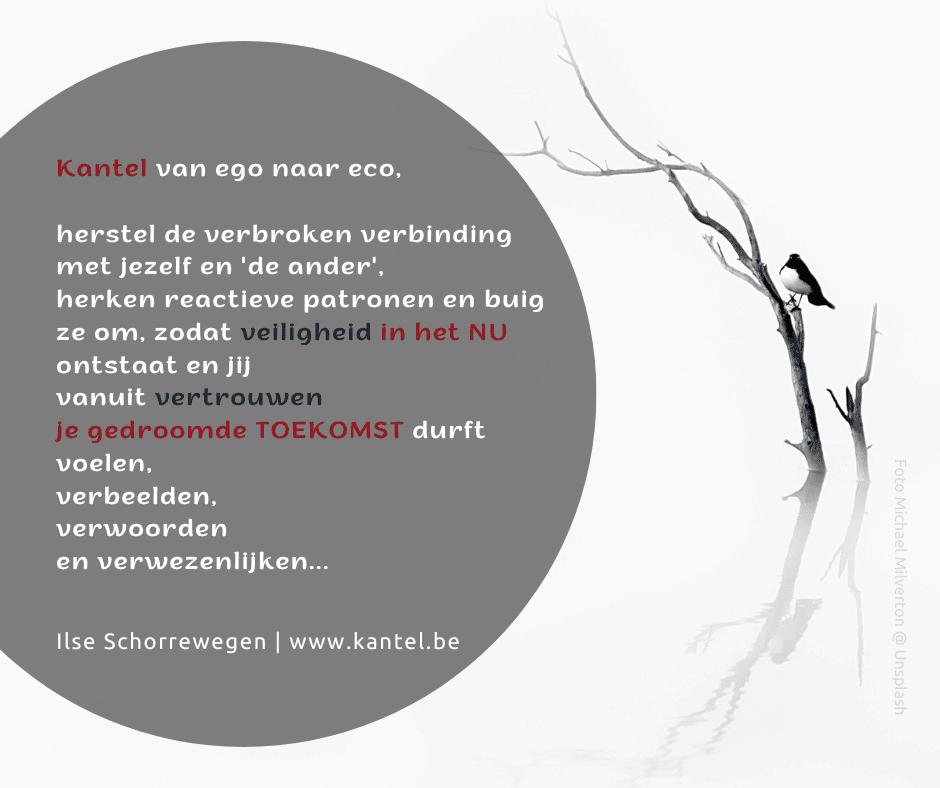 https://www.kantel.be/2020/01/kantelen-die-handel