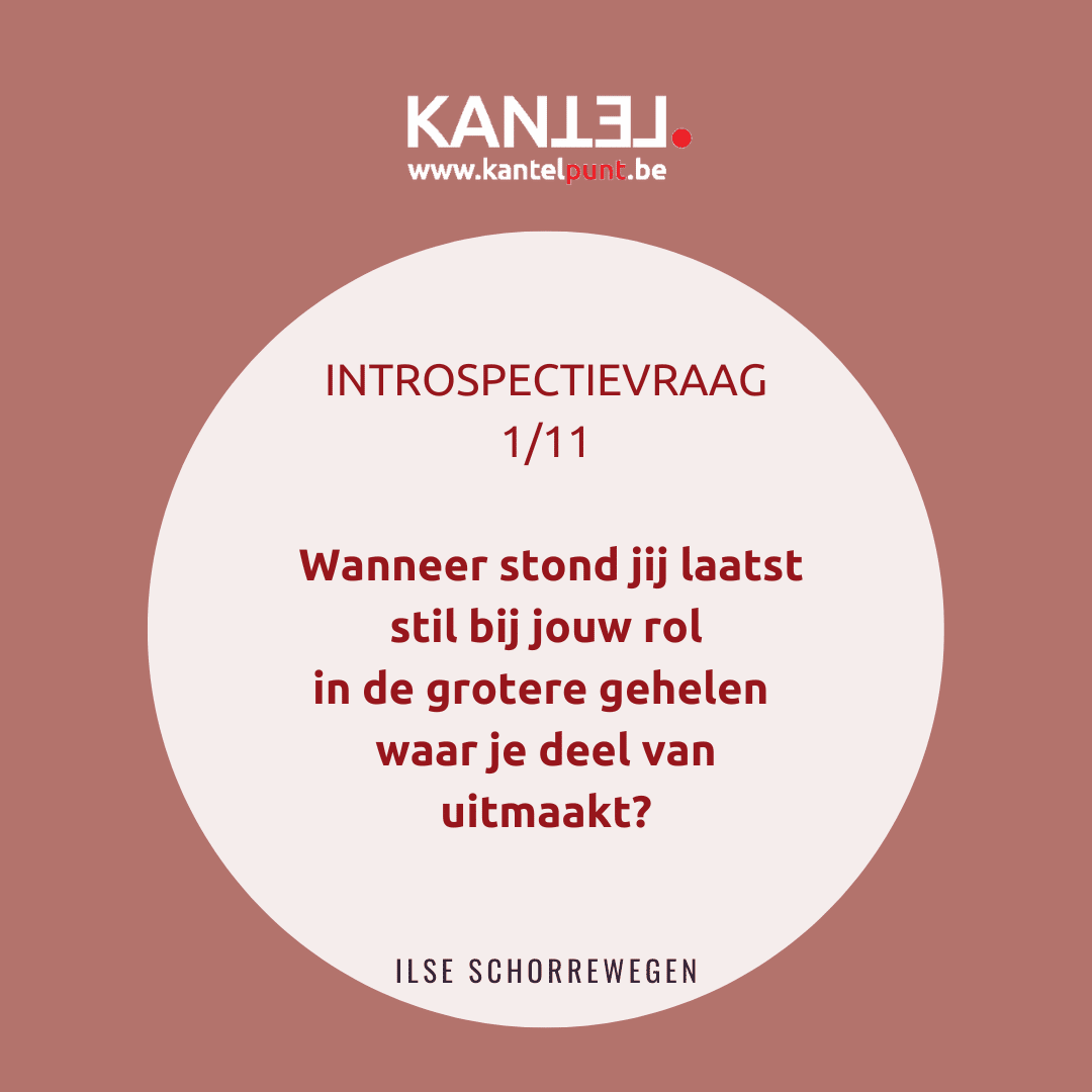 Introspectievragen Kantelpunt