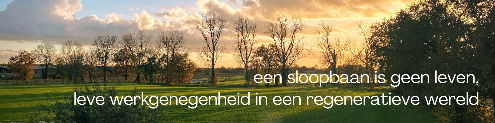 een sloopbaan is geen leven KANTELPUNT