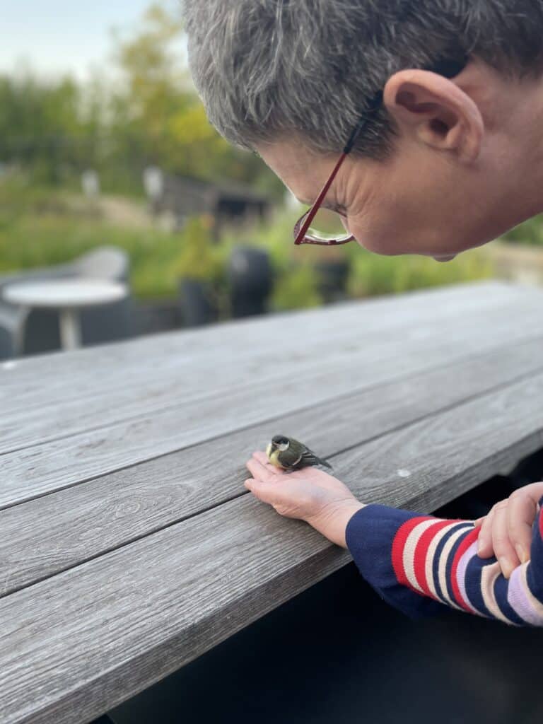 Kantelpunt | Mees in hand