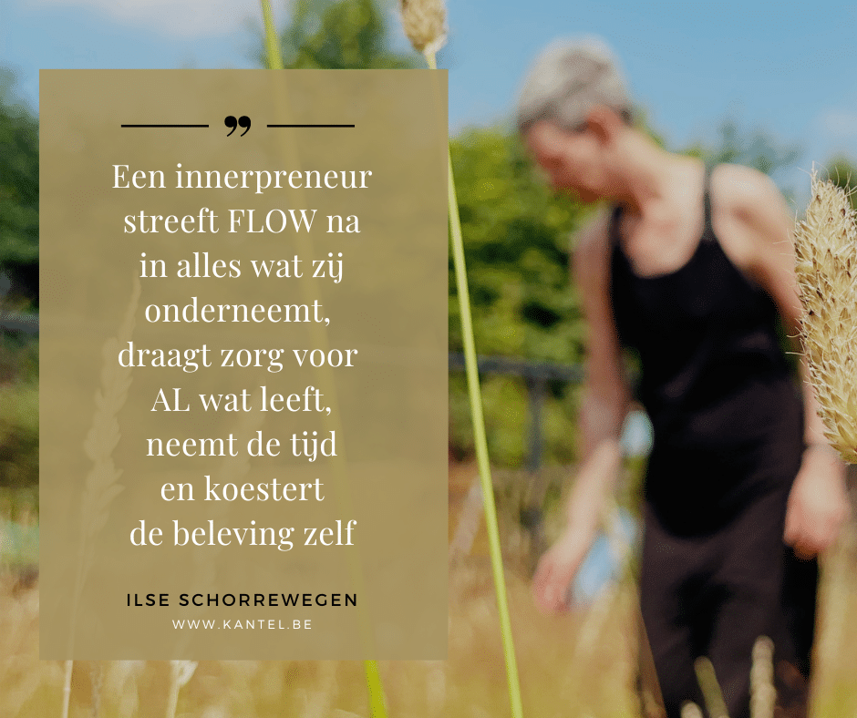 Innerpreneur DEEL 2 KANTELPUNT Levenskunst & werk